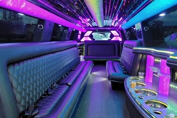 Pleasanton Limo Interior